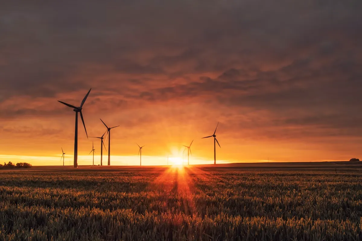 Renewable Power & Energy Transition